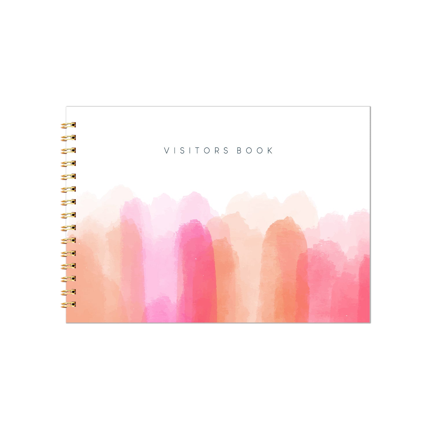 THE VISITORS BOOK - BRUSHES