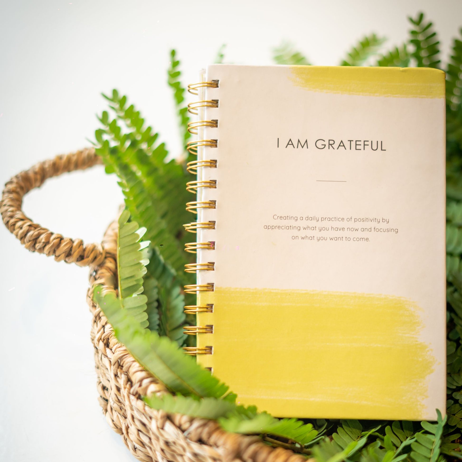 CHOOSE GRATITUDE CHANGE THE WORLD: A DAILY GRATITUDE JOURNAL – Gratitude  Gifted